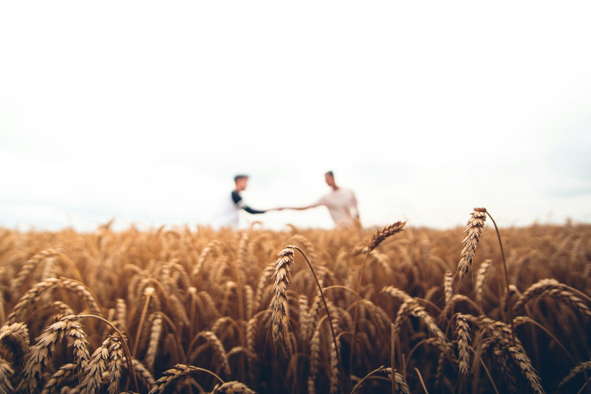 Seasonal Work Visas in Europe 2026: Farm, Hotel and Resort Permits