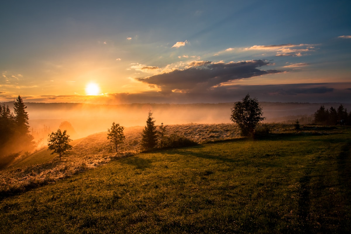 Summer Jobs in Finland for Students (2027): Kesatyo Pay and Applications